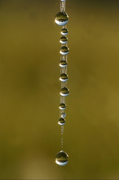 goutte d'eau